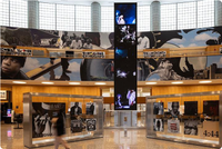 Photo of the Jay-Z exhibit at the Brooklyn Public Library main branch. Photos and artifacts are displayed while one person browses.