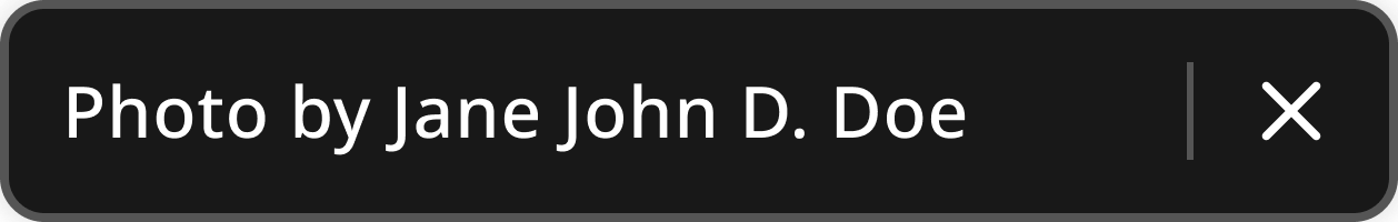 Example of a correct open media credit component. Text reads "Photo by Jane John D. Doe" with no links.